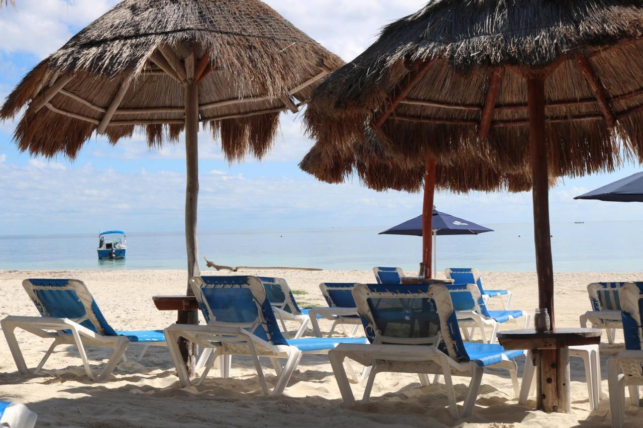 The Diving Lodge Downtown Puerto Morelos Extérieur photo