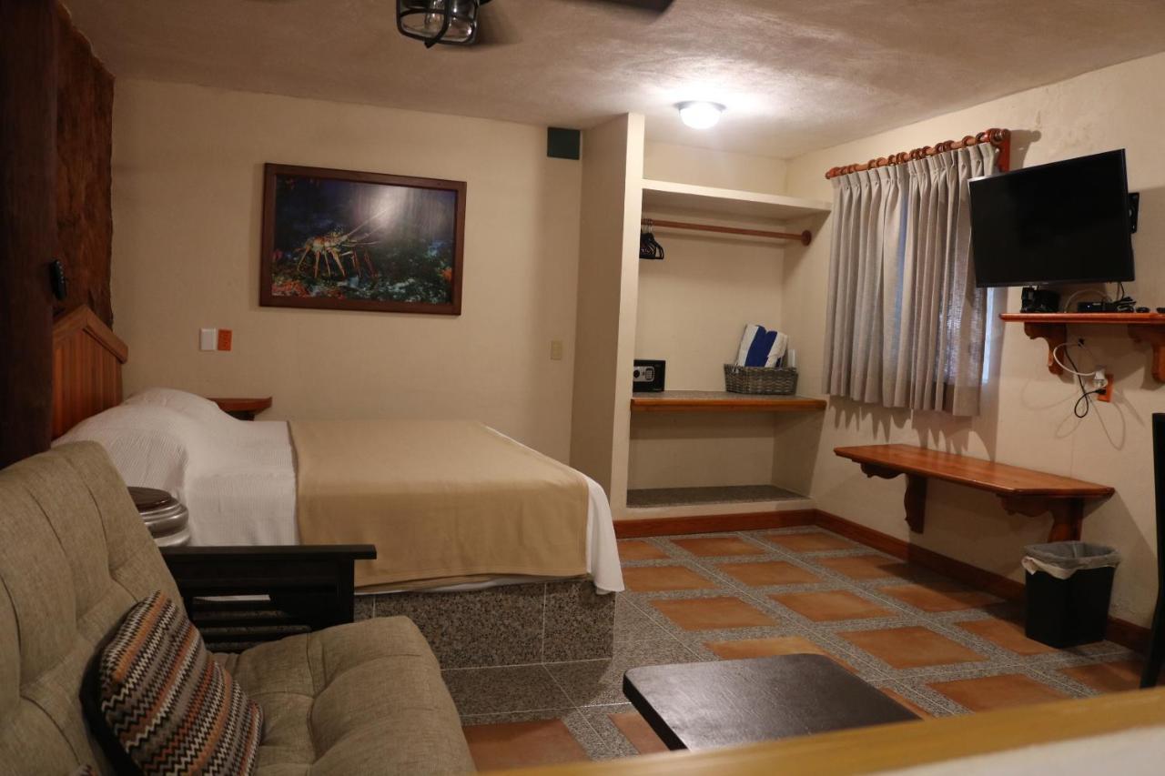 The Diving Lodge Downtown Puerto Morelos Extérieur photo