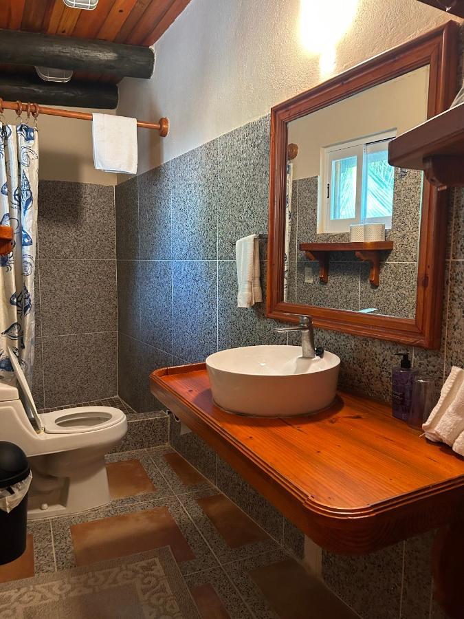 The Diving Lodge Downtown Puerto Morelos Extérieur photo